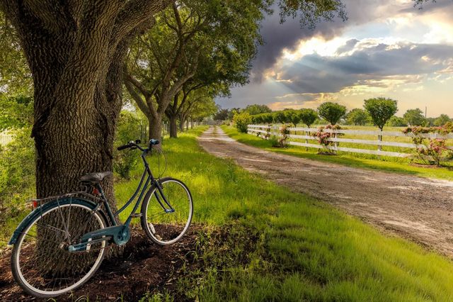 3100 Trails End Lane, Brenham, TX 77833