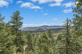 1424 Solitude Lane, Evergreen, CO 80439