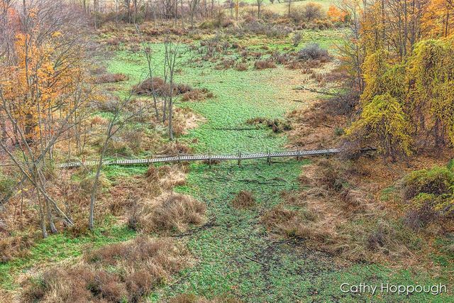 3494 Bradford Road, Ionia, MI 48846