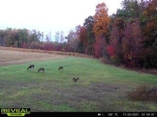 0 Espy Rd, Manchester, TN 37355