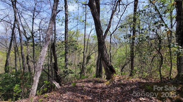 31 Lacy Fern Ridge 31, Sylva, NC 28779