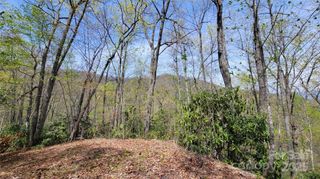 31 Lacy Fern Ridge 31, Sylva, NC 28779