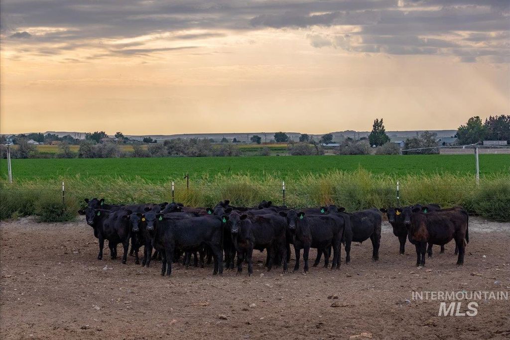 TBD Jump Creek Rd 100 Ac, Homedale, ID 83628 photo 3