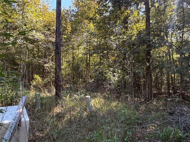 TBD Circle Bell, Livingston, TX 77351
