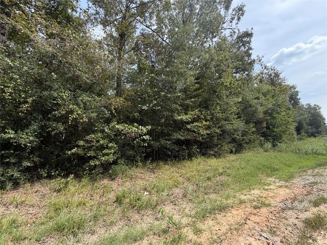 TBD Circle Bell, Livingston, TX 77351