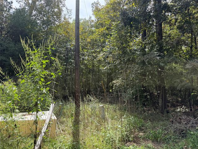TBD Circle Bell, Livingston, TX 77351