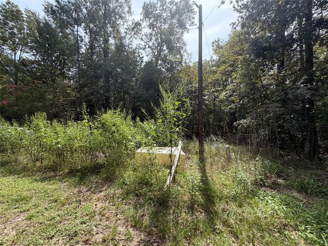 TBD Circle Bell, Livingston, TX 77351