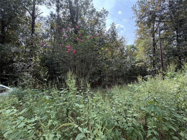 TBD Circle Bell, Livingston, TX 77351