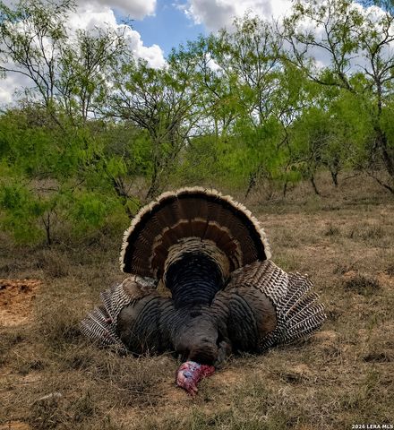 4500 FM 1150, Kingsbury, TX 78638