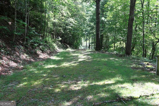 29 Cool Spring Lane, Clayton, GA 30525