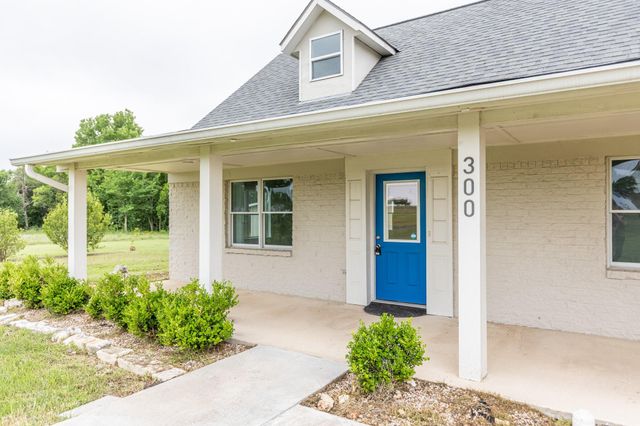 300 Carmel Creekside DR, Hutto, TX 78634