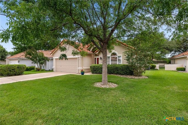 30303 Briarcrest Drive, Georgetown, TX 78628