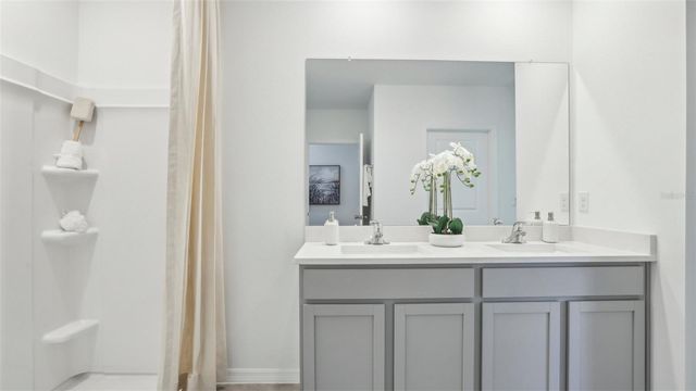 1212 ALPINE ASH PLACE, Ruskin, FL 33570