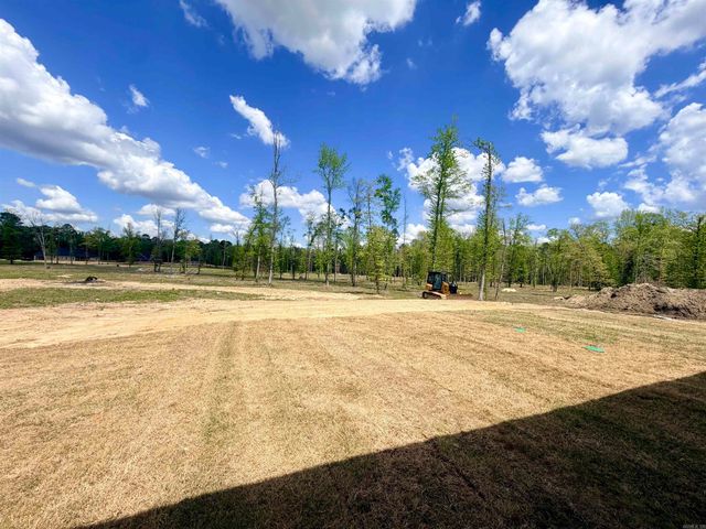 6874 Detonti, Bauxite, AR 72011