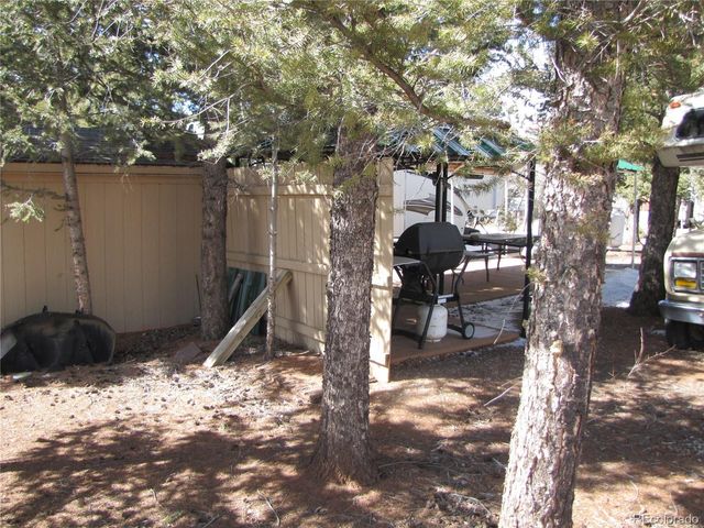540 Lantern Loop, Hartsel, CO 80449