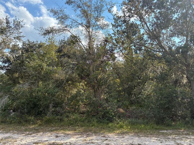Lot 22, Block 125 Park Ave, Indian Lake Estates, FL 33855