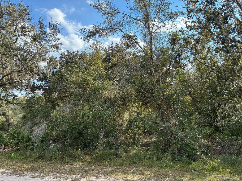 Lot 22, Block 125 Park Ave, Indian Lake Estates, FL 33855
