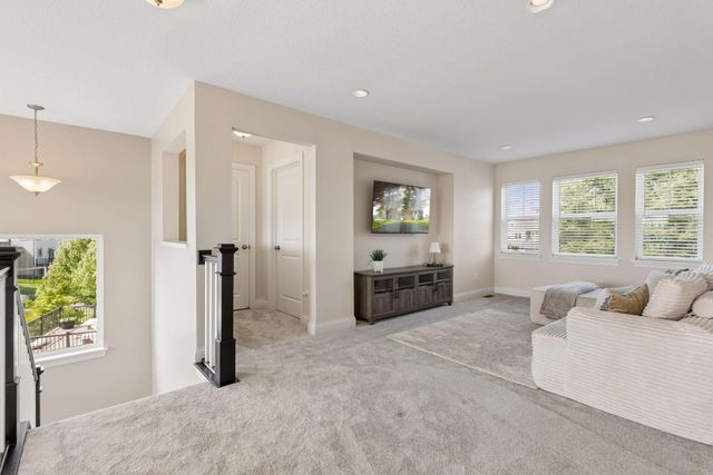 4061 San Vitero Circle, Chaska, MN 55318