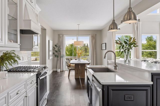 4061 San Vitero Circle, Chaska, MN 55318