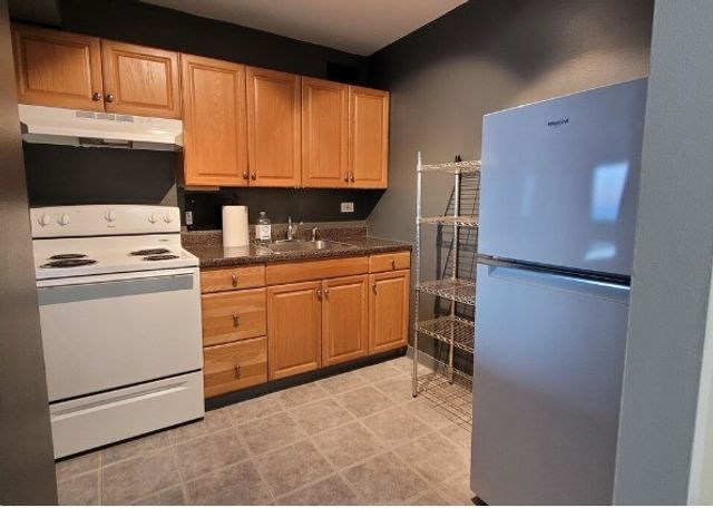 7337 S South Shore Drive 1209, Chicago, IL 60649