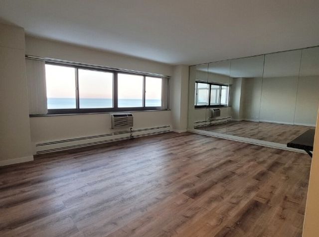 7337 S South Shore Drive 1209, Chicago, IL 60649