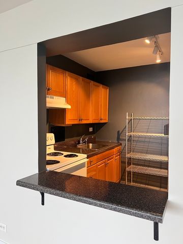 7337 S South Shore Drive 1209, Chicago, IL 60649