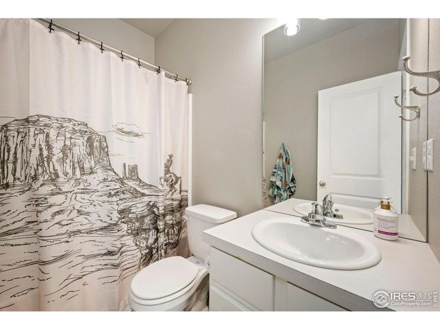 3812 Beech Tree St, Wellington, CO 80549