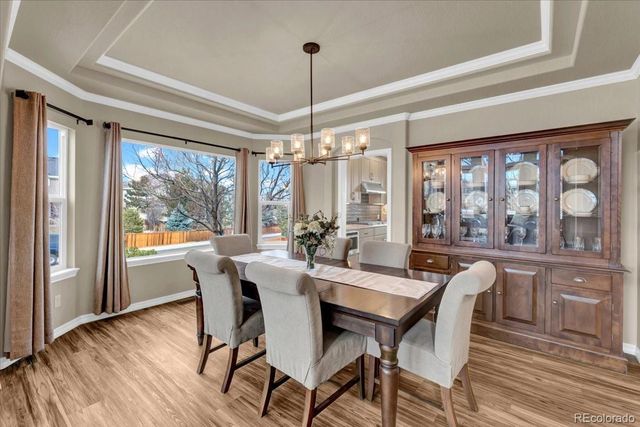 7114 Cobalt Court, Castle Rock, CO 80108