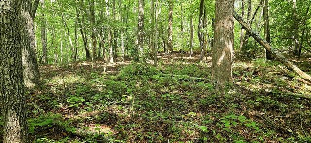 0 Seye Wailo Trail, Clarkesville, GA 30523
