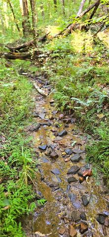 0 Seye Wailo Trail, Clarkesville, GA 30523