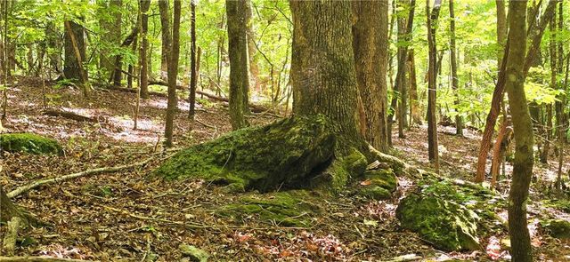 0 Seye Wailo Trail, Clarkesville, GA 30523
