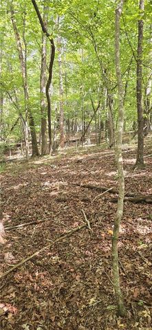 0 Seye Wailo Trail, Clarkesville, GA 30523