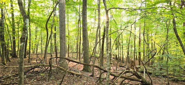 0 Seye Wailo Trail, Clarkesville, GA 30523
