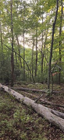 0 Seye Wailo Trail, Clarkesville, GA 30523