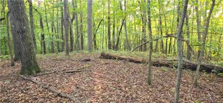 0 Seye Wailo Trail, Clarkesville, GA 30523
