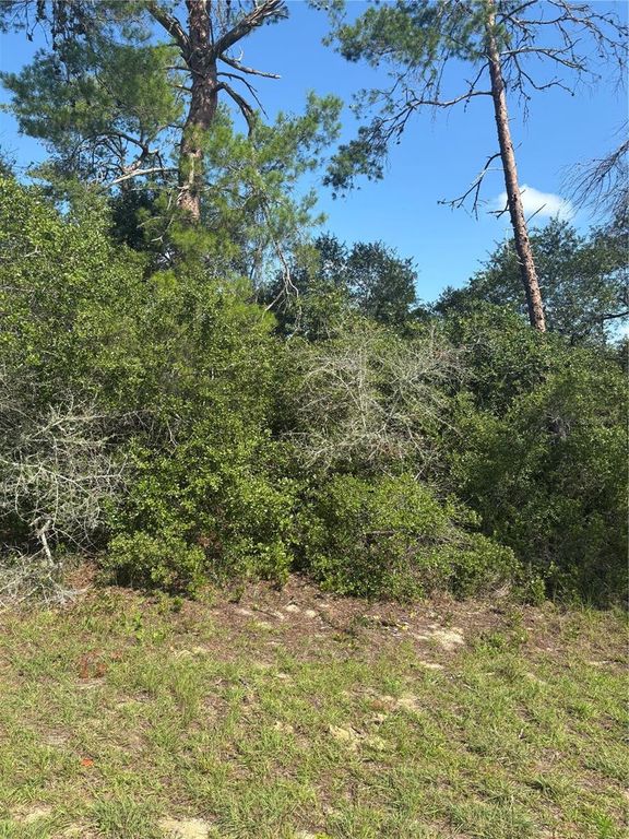 16698 SW 21ST CIRCLE, Ocala, FL 34473