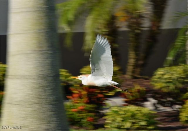 18001 Bluewater DR, Naples, FL 34114