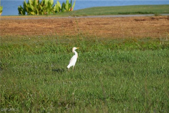 18001 Bluewater DR, Naples, FL 34114