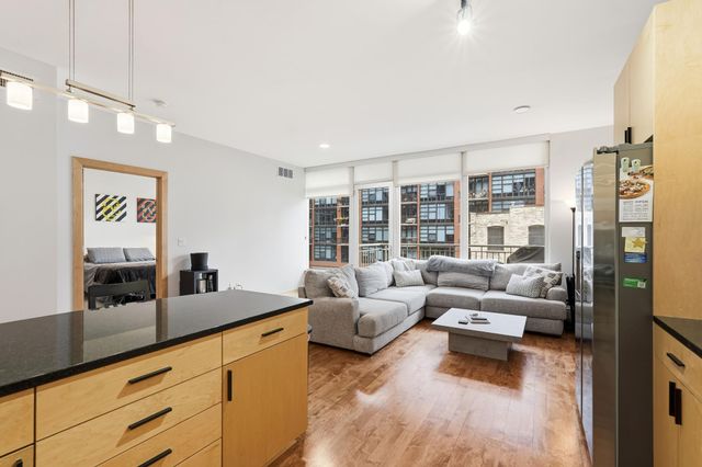 215 10th Avenue S 333, Minneapolis, MN 55415