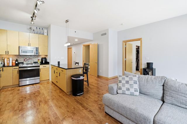 215 10th Avenue S 333, Minneapolis, MN 55415