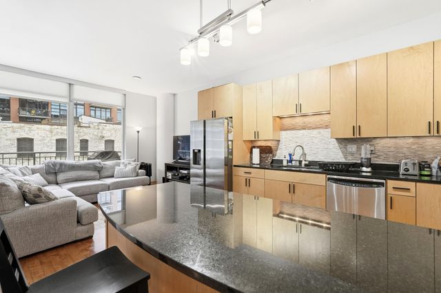 215 10th Avenue S 333, Minneapolis, MN 55415