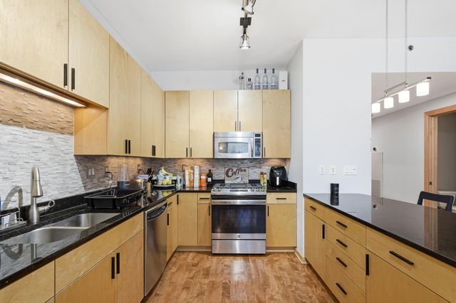 215 10th Avenue S 333, Minneapolis, MN 55415