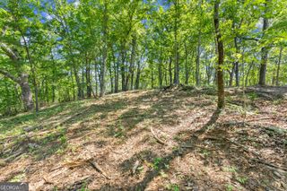 95 Chimney Oaks Trail, Cleveland, GA 30528