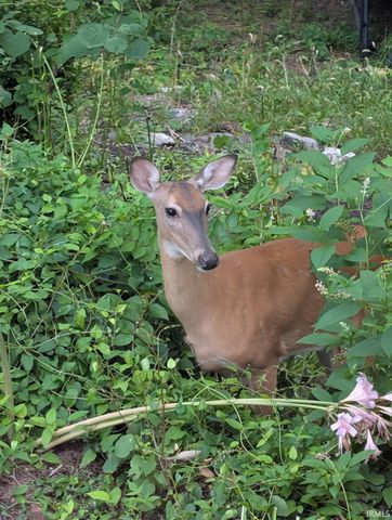 353 Harvard Terrace, Frankfort, IN 46041