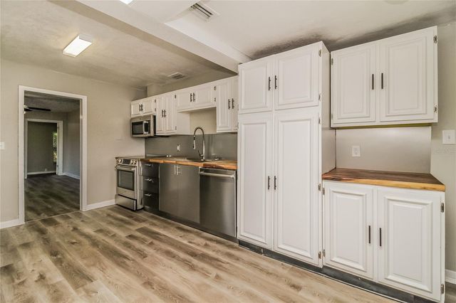 1335 E 3RD AVENUE, Mount Dora, FL 32757