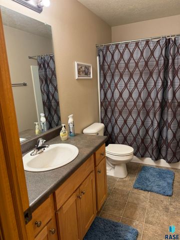 1102 E Perry Ln Lane, Harrisburg, SD 57032