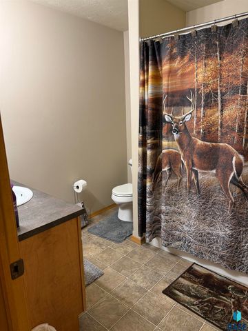 1102 E Perry Ln Lane, Harrisburg, SD 57032