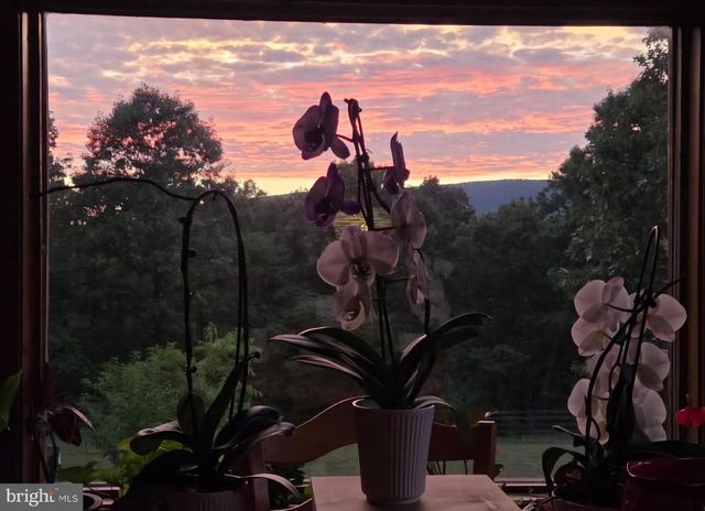 1415 S TIMBER RIDGE RD, Cross Junction, VA 22625