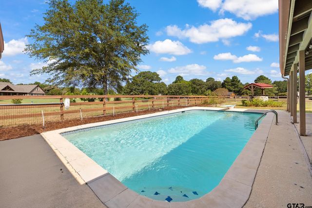 357 Swannerland Dr, Scroggins, TX 75480