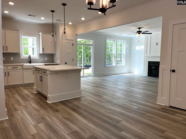 3037 Hanging Valley Road, Blythewood, SC 29016
